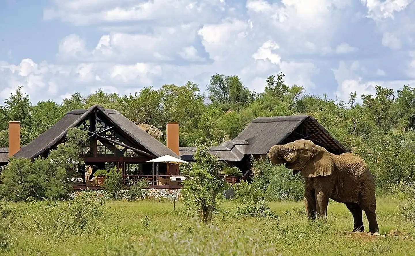 Mateya Safari Lodge Tiere