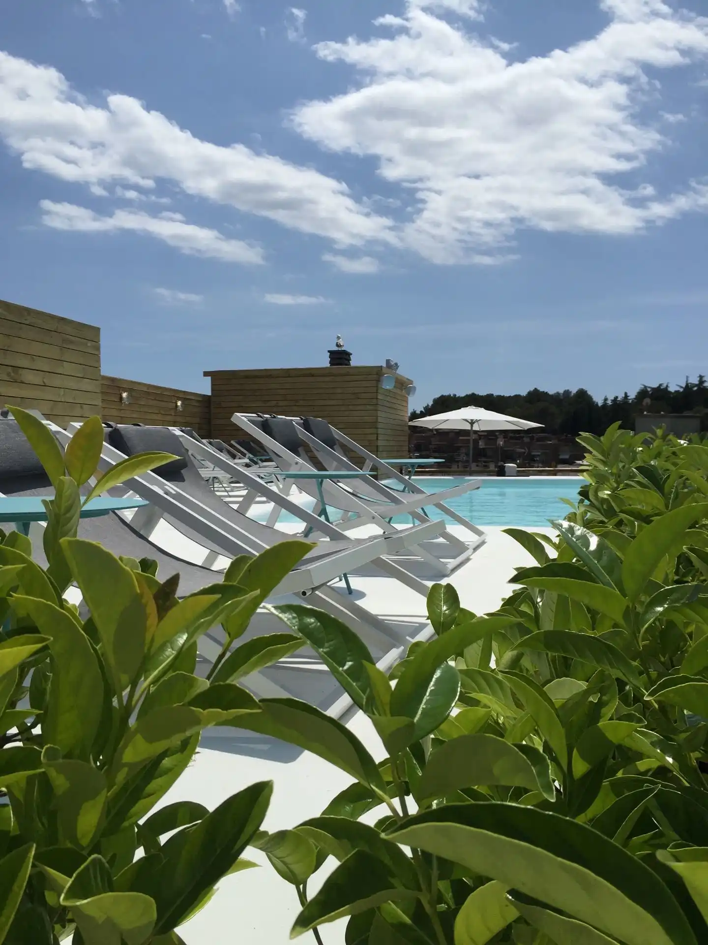 Delamar Terrasse