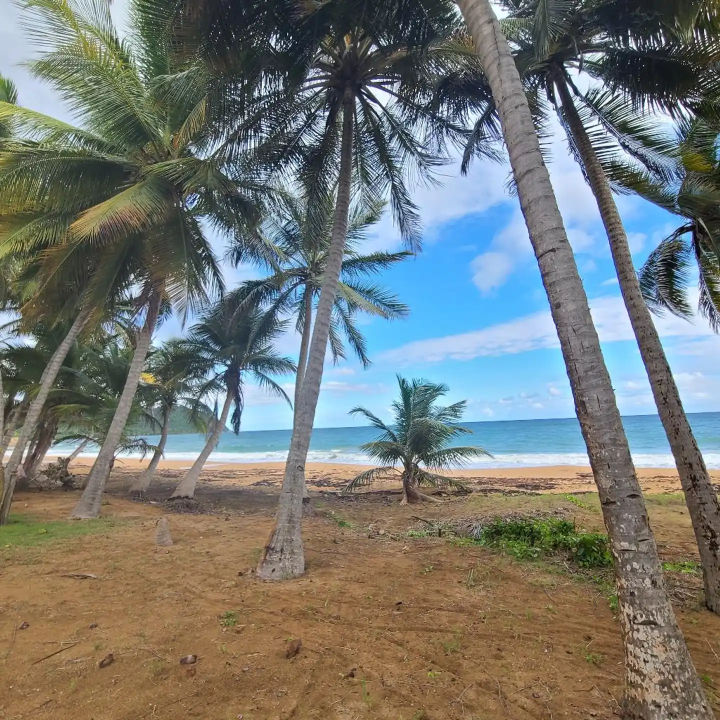 Parador Maunacaribe - Maunabo Garten