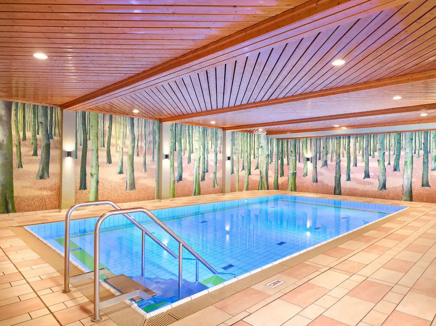 Hapimag Braunlage Hallenbad