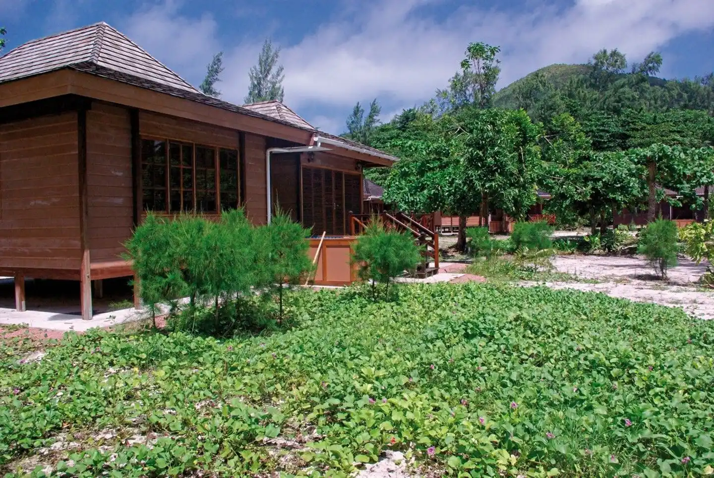 Heliconia Grove Garten