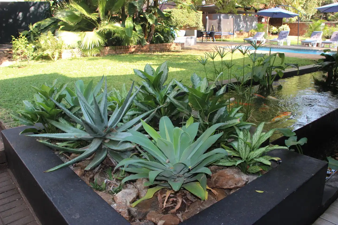 Ecolux Boutique Hotel Garten