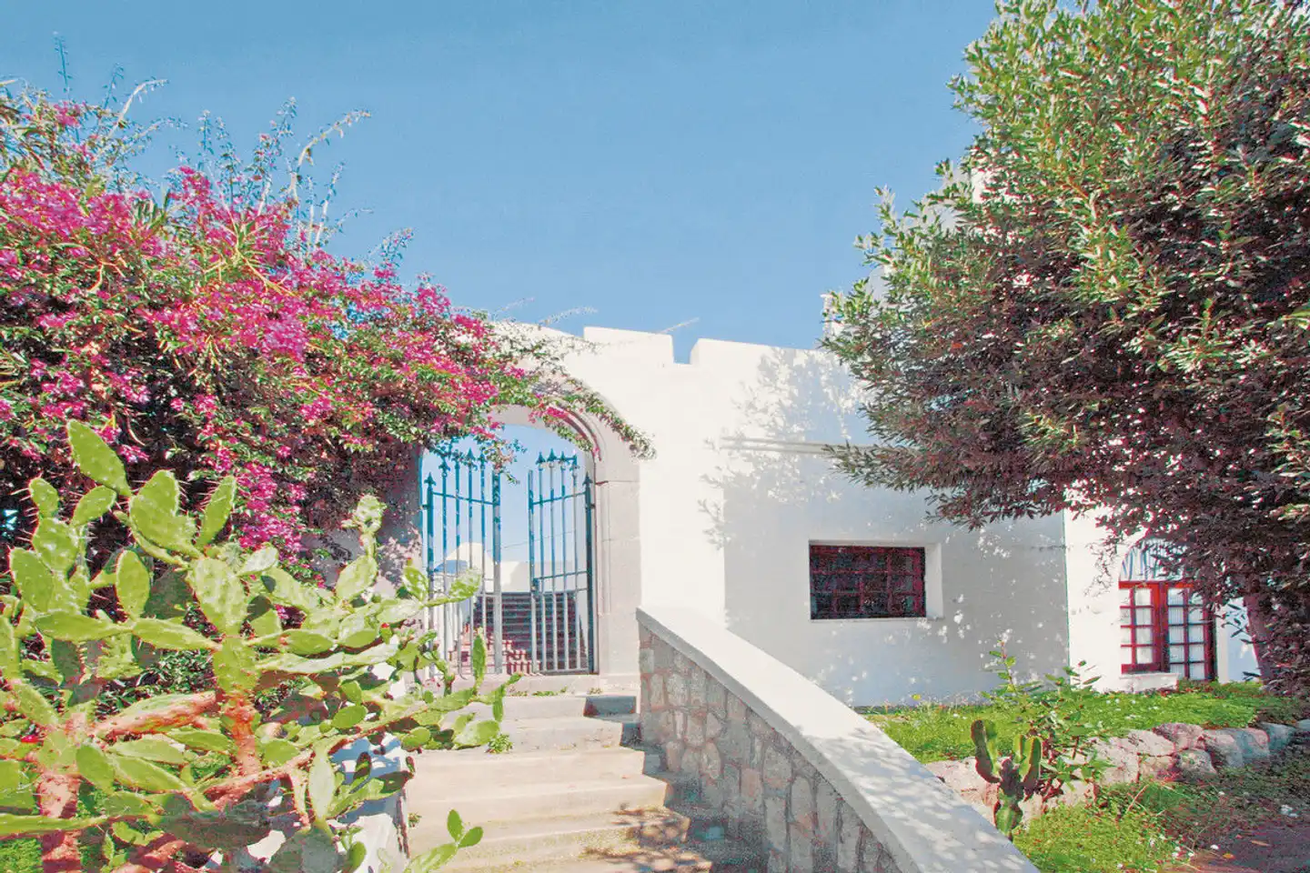 Park Hotel Terme Mediterraneo Garten