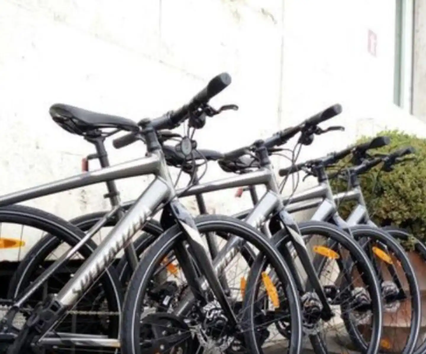 Fortyseven Sport und Entertainment