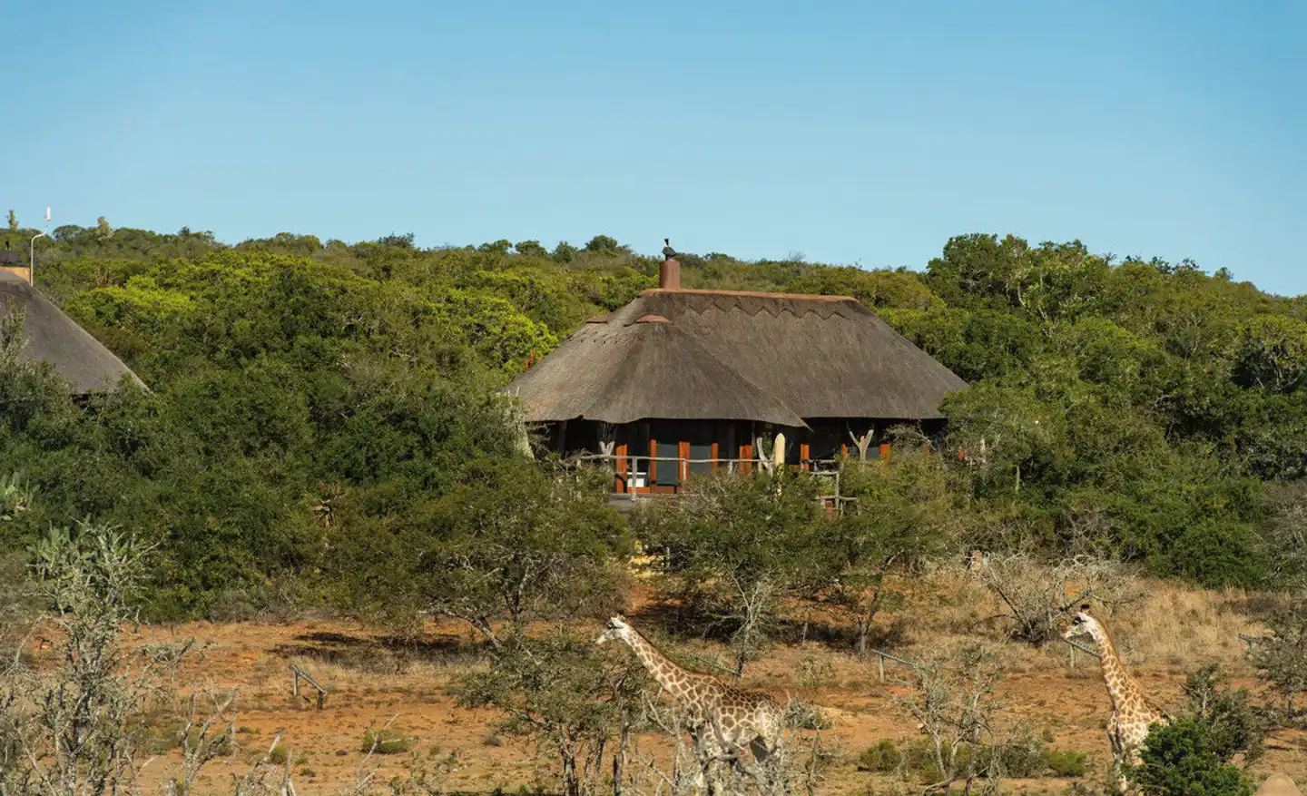 Pumba Private Game Reserve Garten