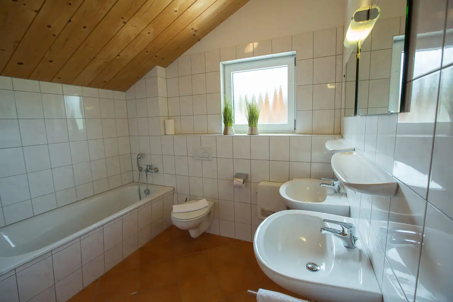 Alpendorf Dachstein-West Badezimmer