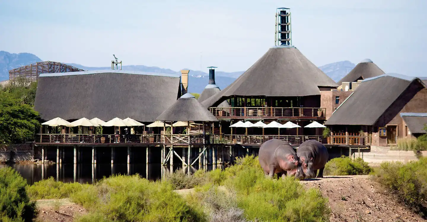 Buffelsdrift Game Lodge Tiere