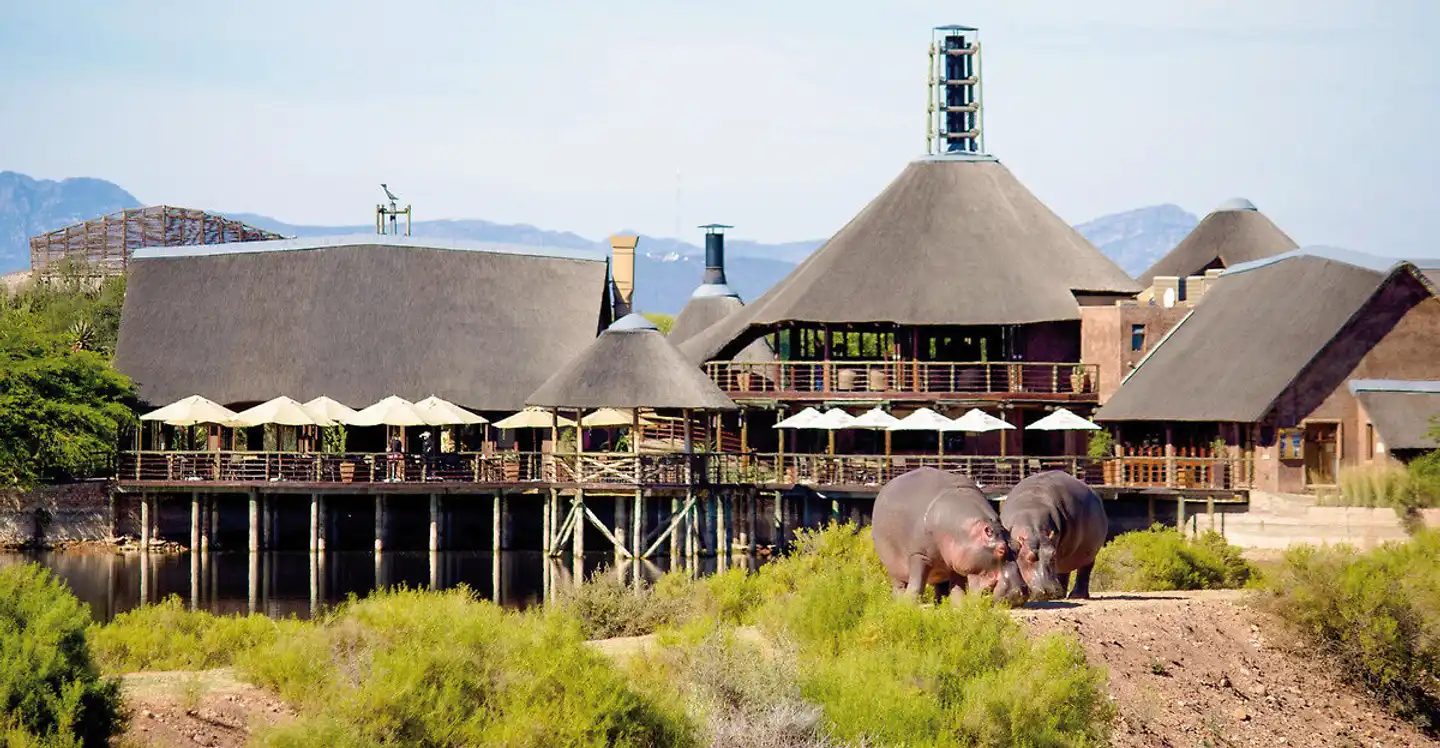 Buffelsdrift Game Lodge Tiere