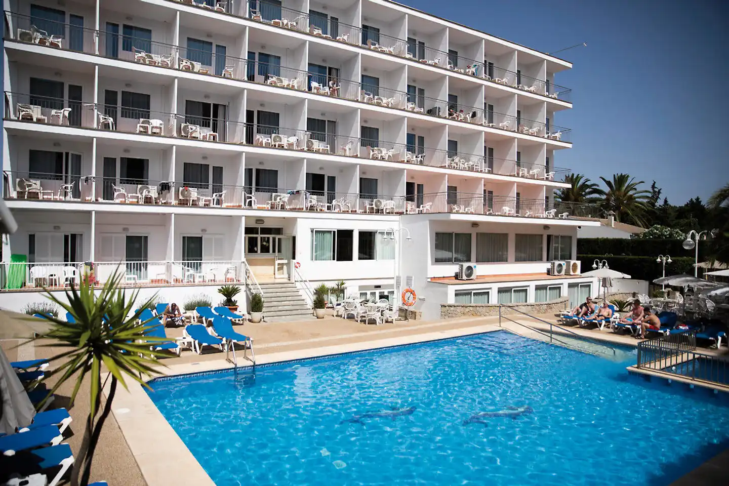 Don Miguel Playa Pool