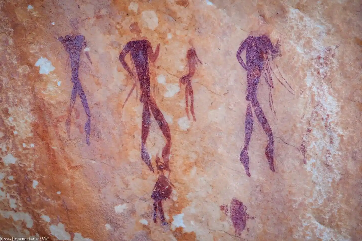 Kagga Kamma Nature Reserve Landschaft