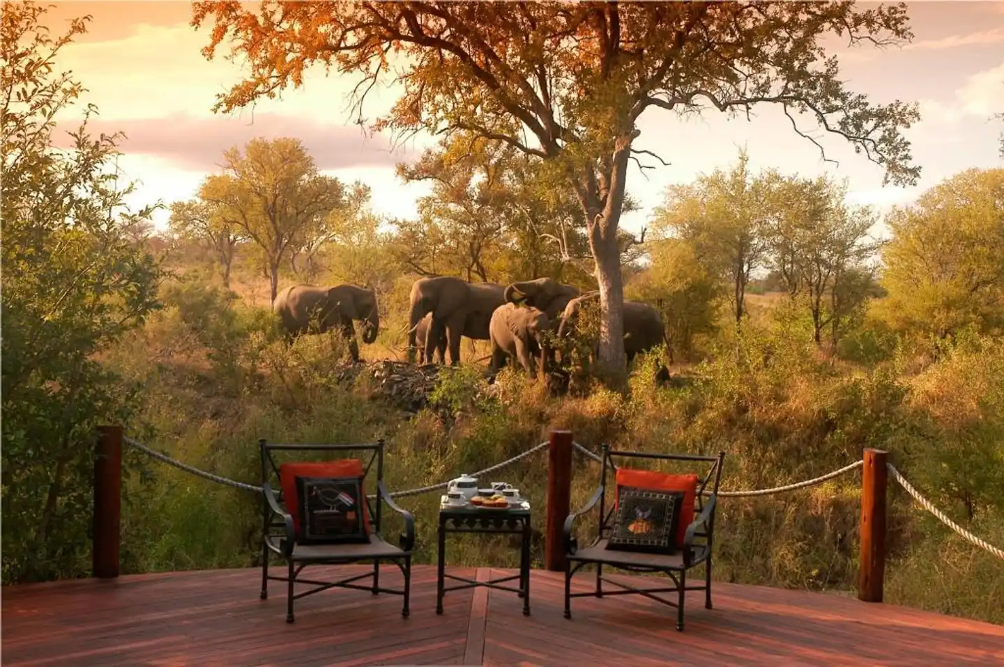 Hoyo Hoyo Safari Lodge Terrasse