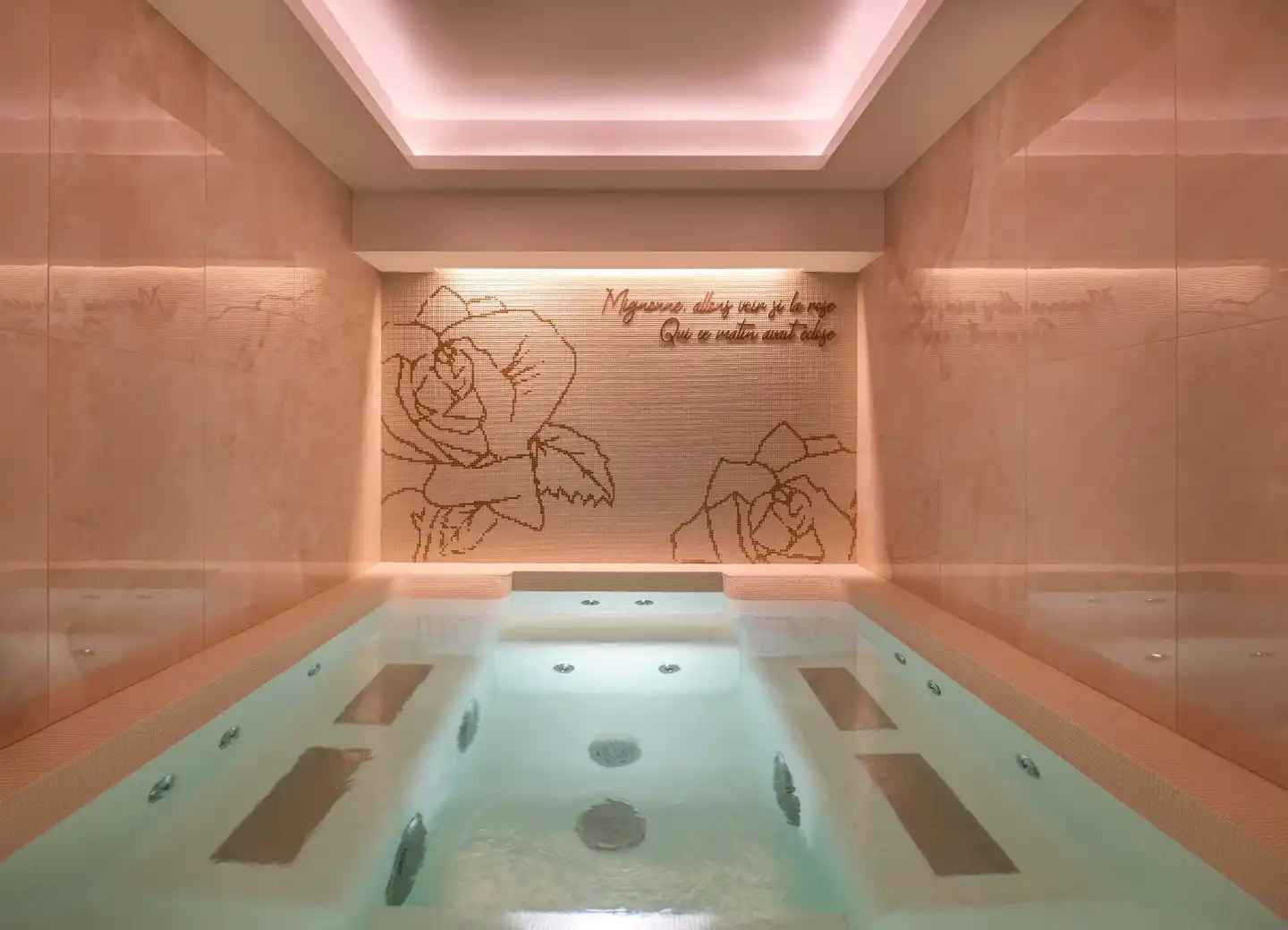 Hôtel Elysia Wellness