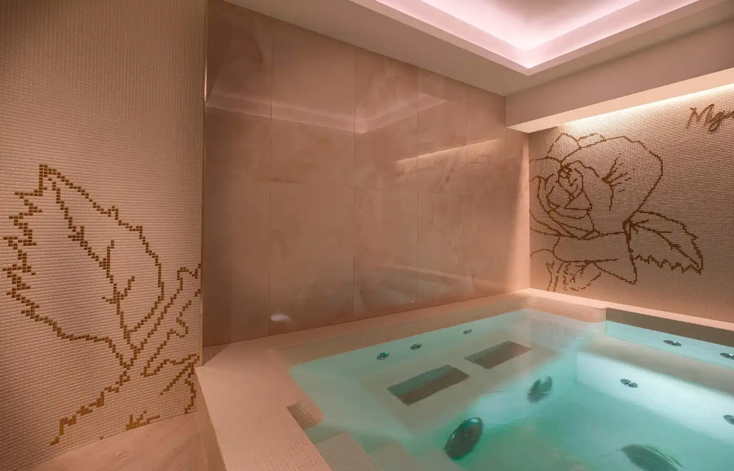 Hôtel Elysia Wellness
