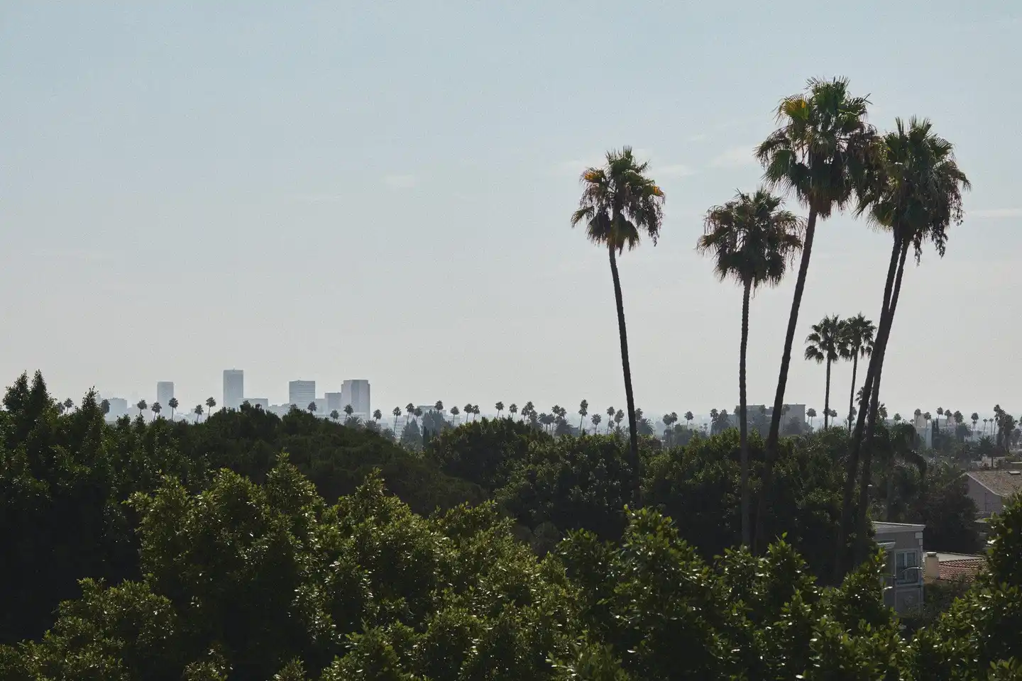 L'Ermitage Beverly Hills Landschaft