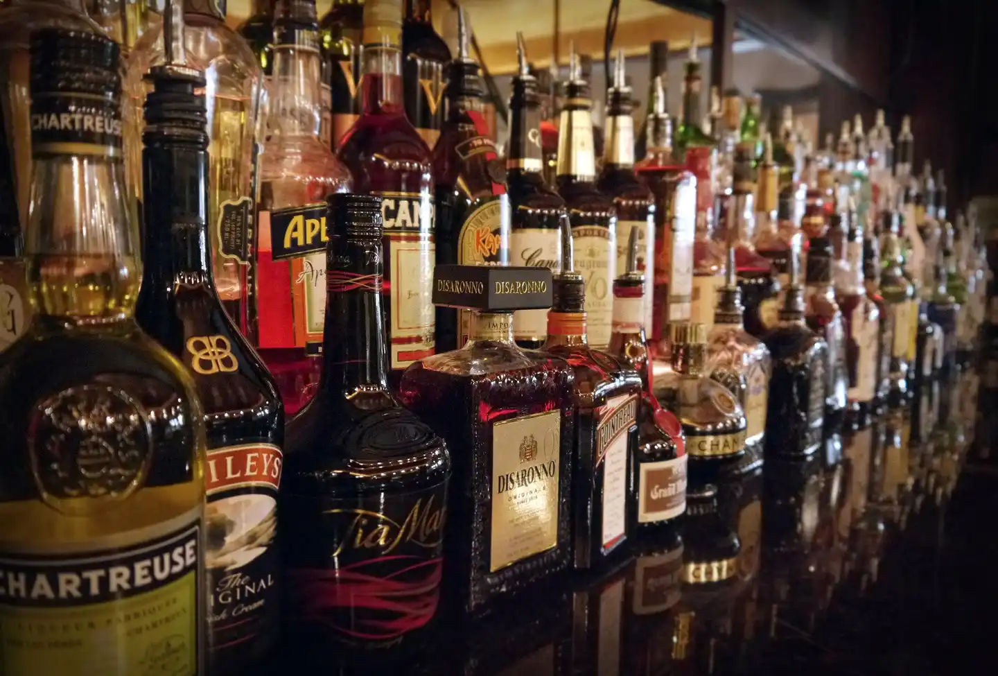 Fort Pontchartrain Detroit, a Wyndham Hotel Bar