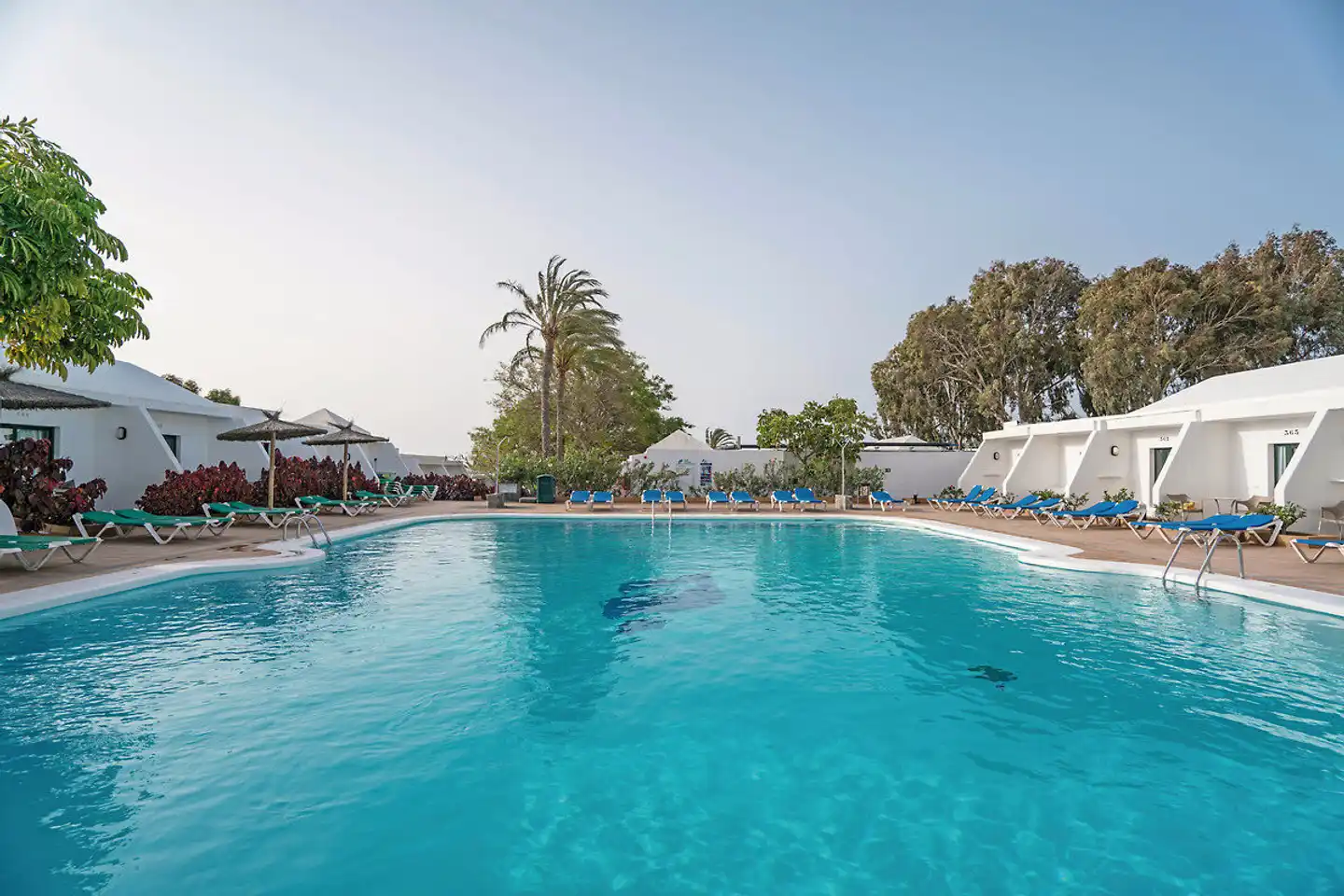 THB Flora Pool