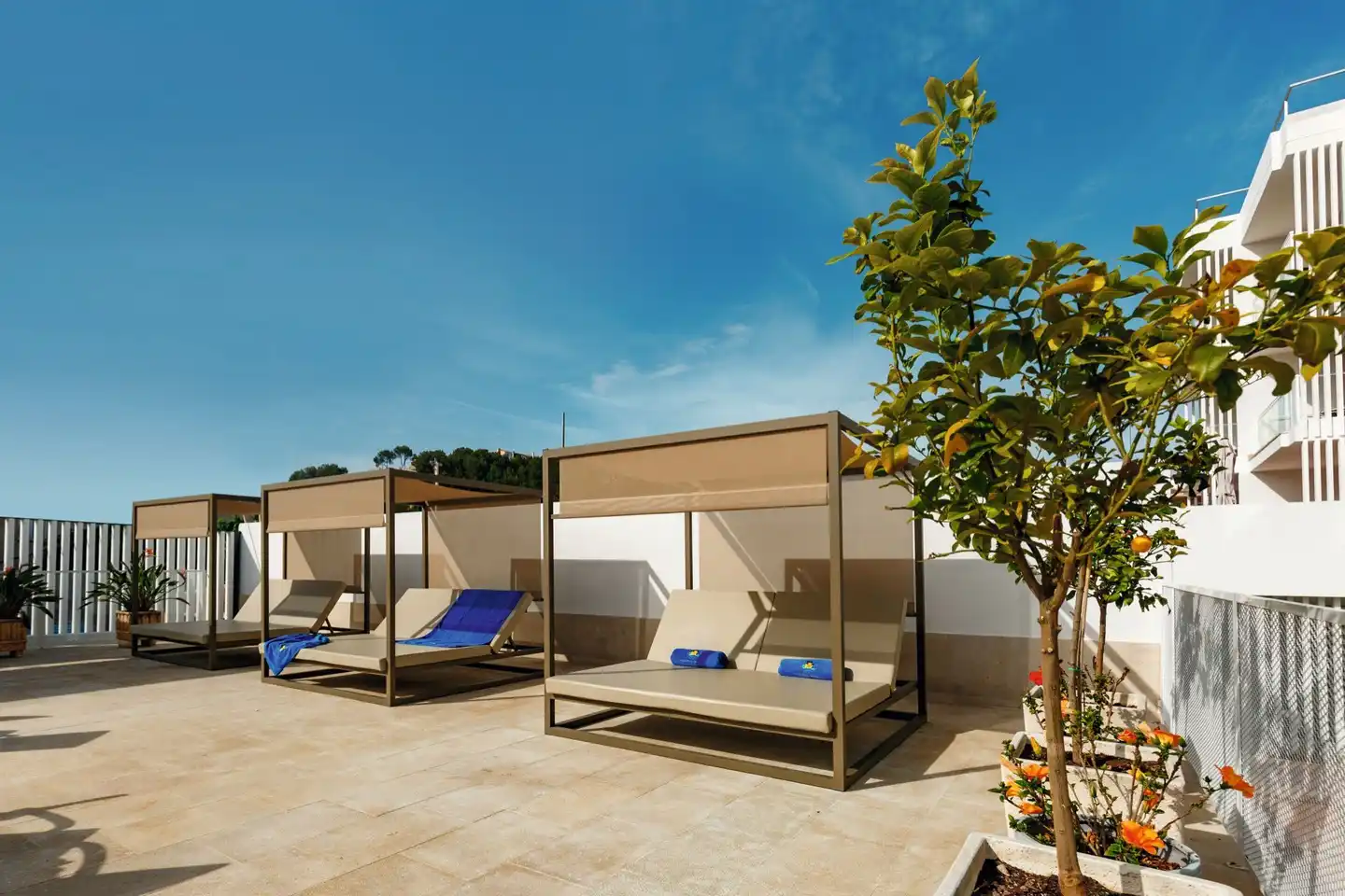 Paguera Beach Terrasse