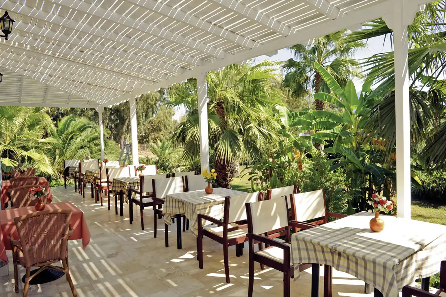 Cavo D'oro Terrasse