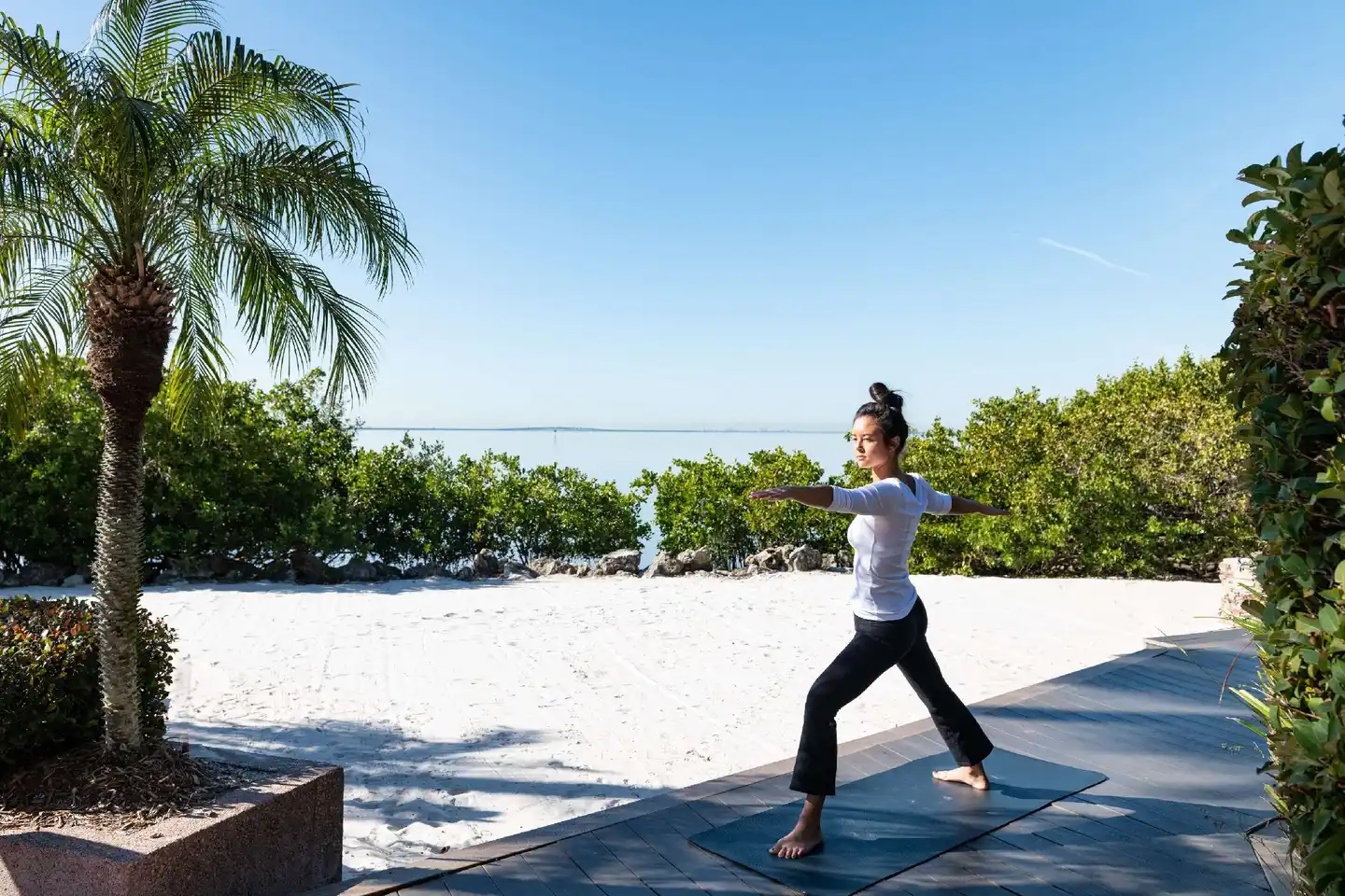 Grand Hyatt Tampa Bay Sport und Entertainment