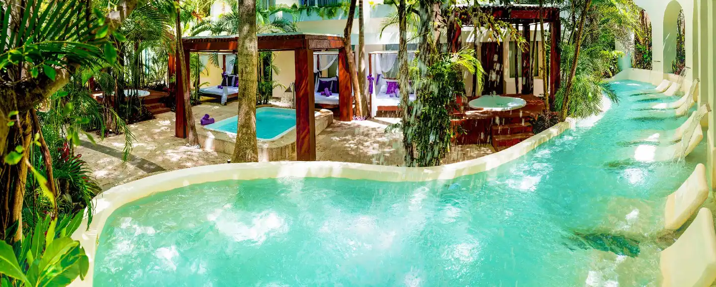 Grand Oasis Palm Wellness