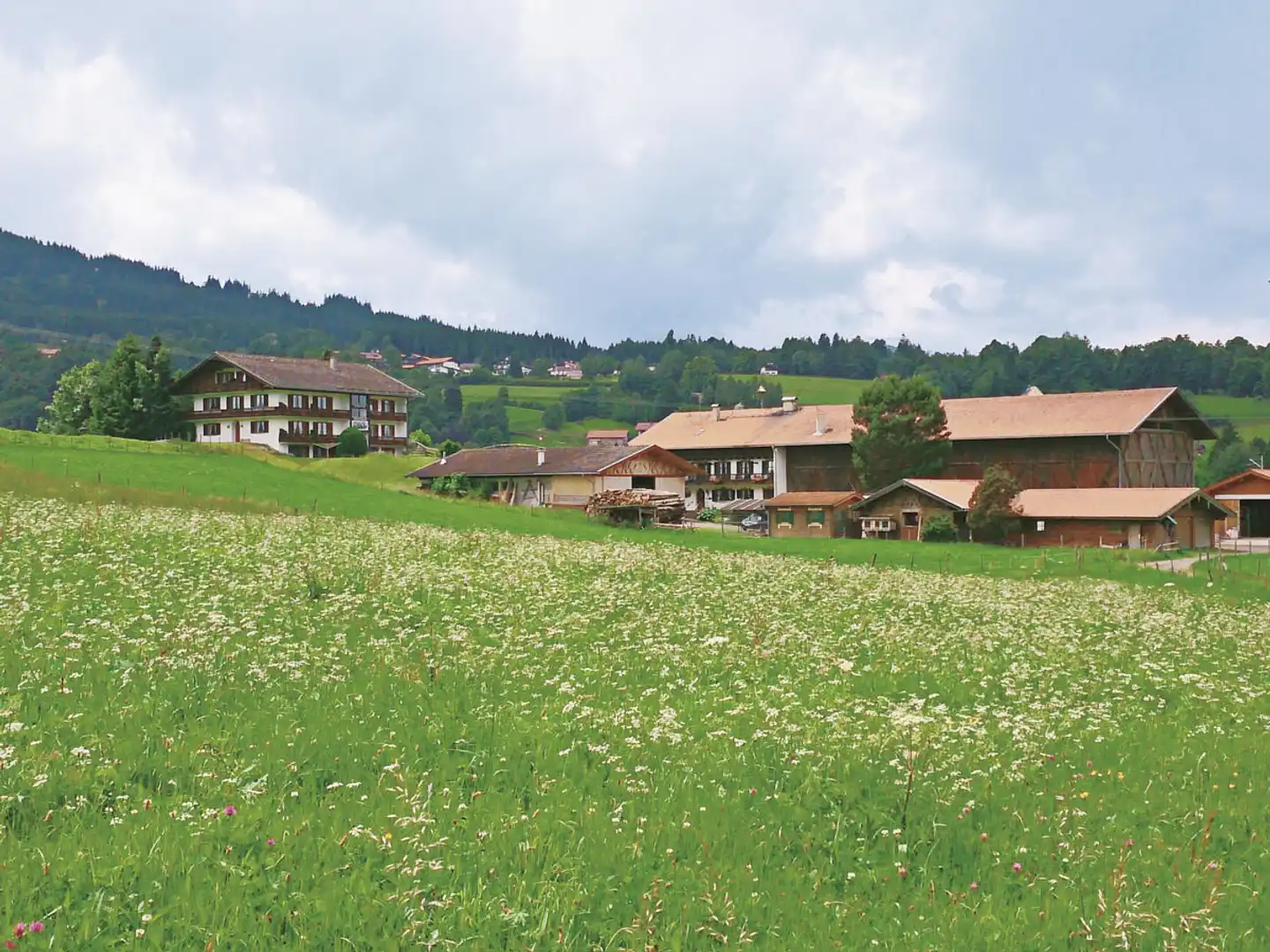 Gästehaus Kohlerhof Landschaft