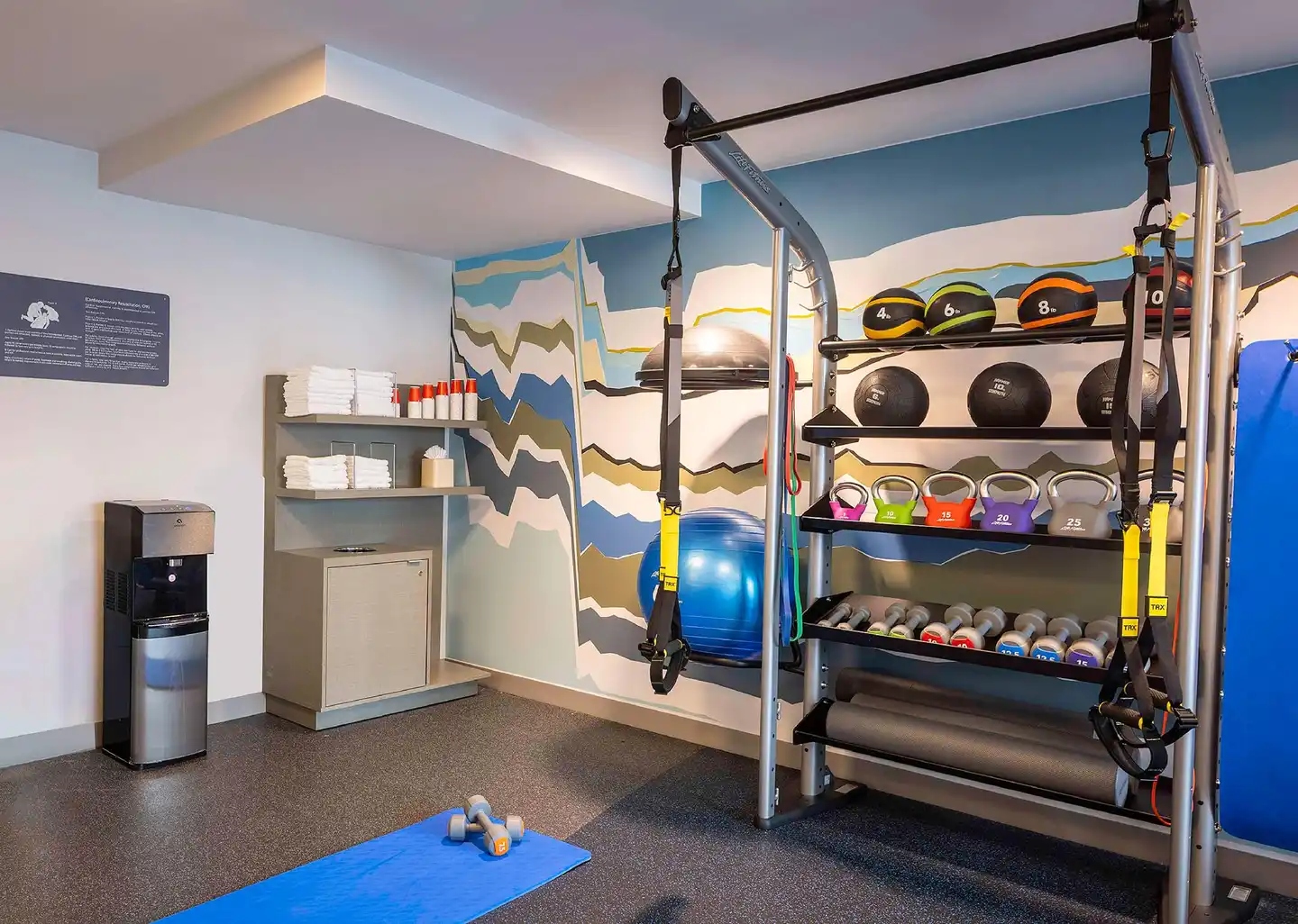 Hilton Garden Inn Washington DC/Georgetown Area Sport und Entertainment
