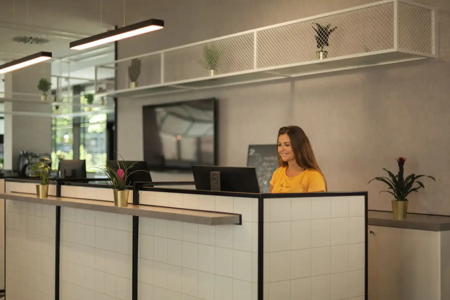 the niu Leo Lobby