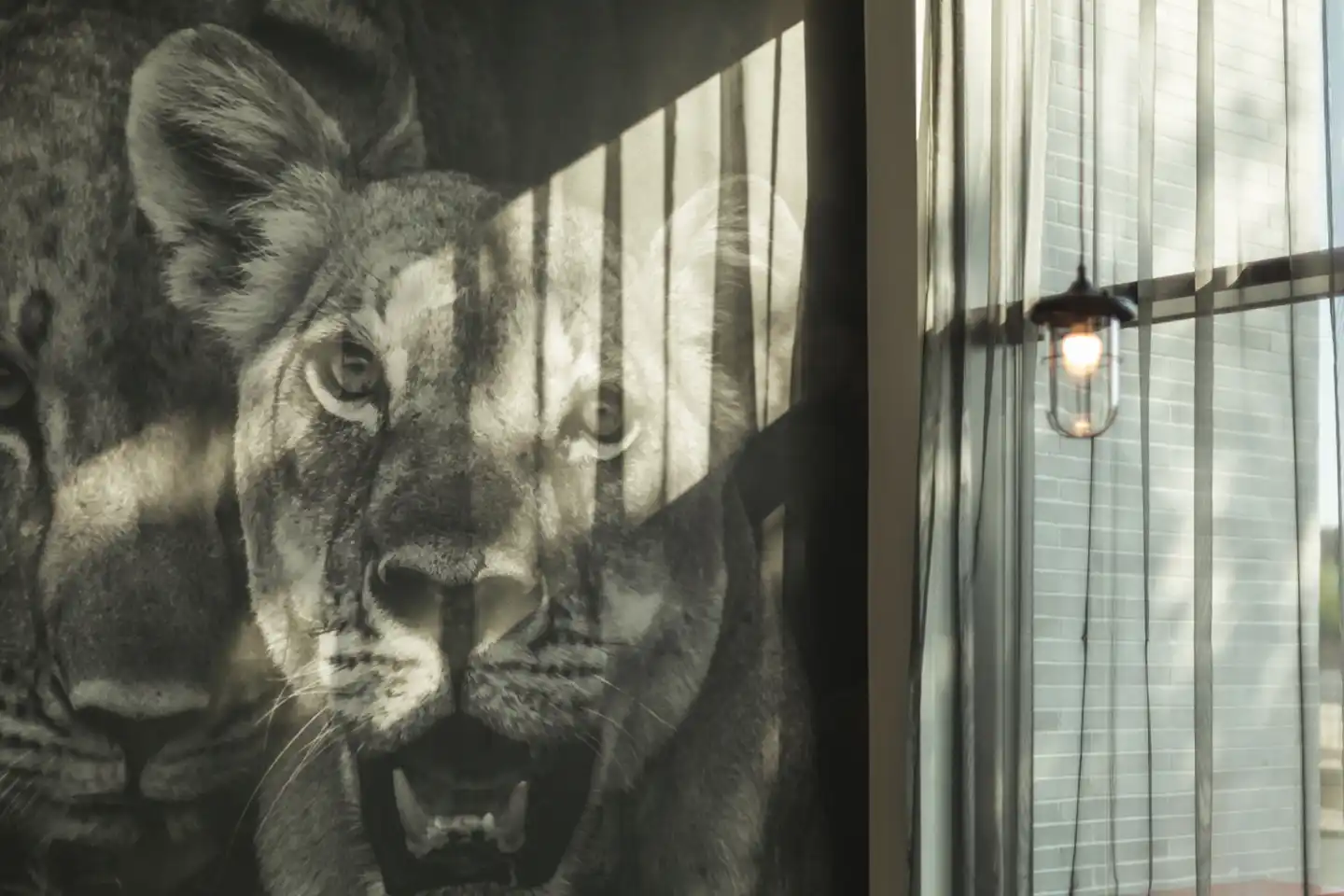 the niu Leo Tiere
