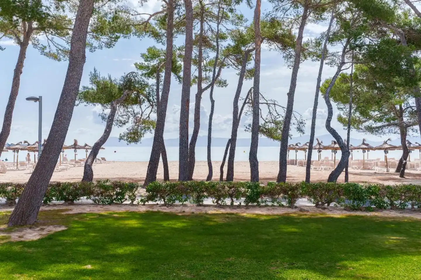 Lime Playa de Alcudia Landschaft