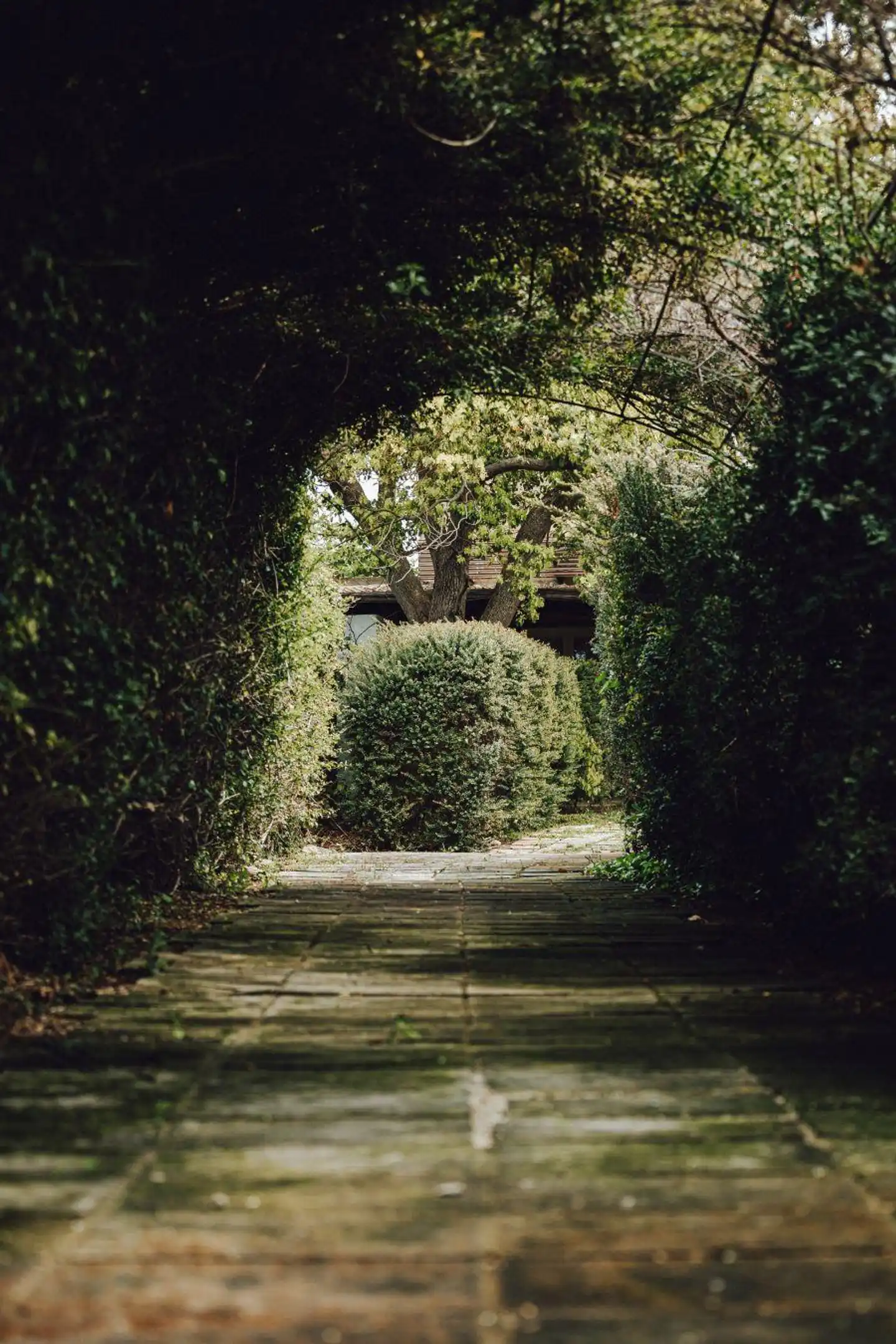 Masseria Li Foggi Garten