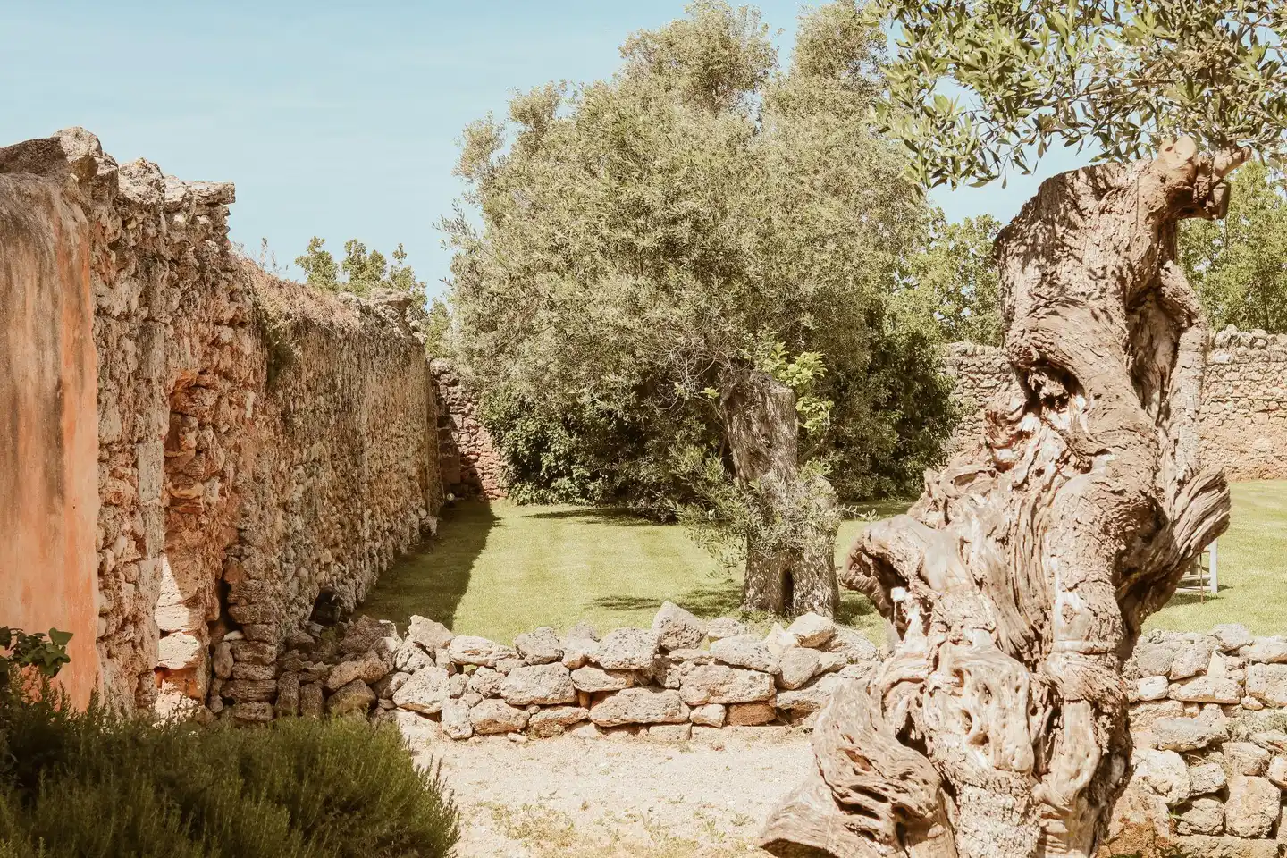 Masseria Li Foggi Landschaft