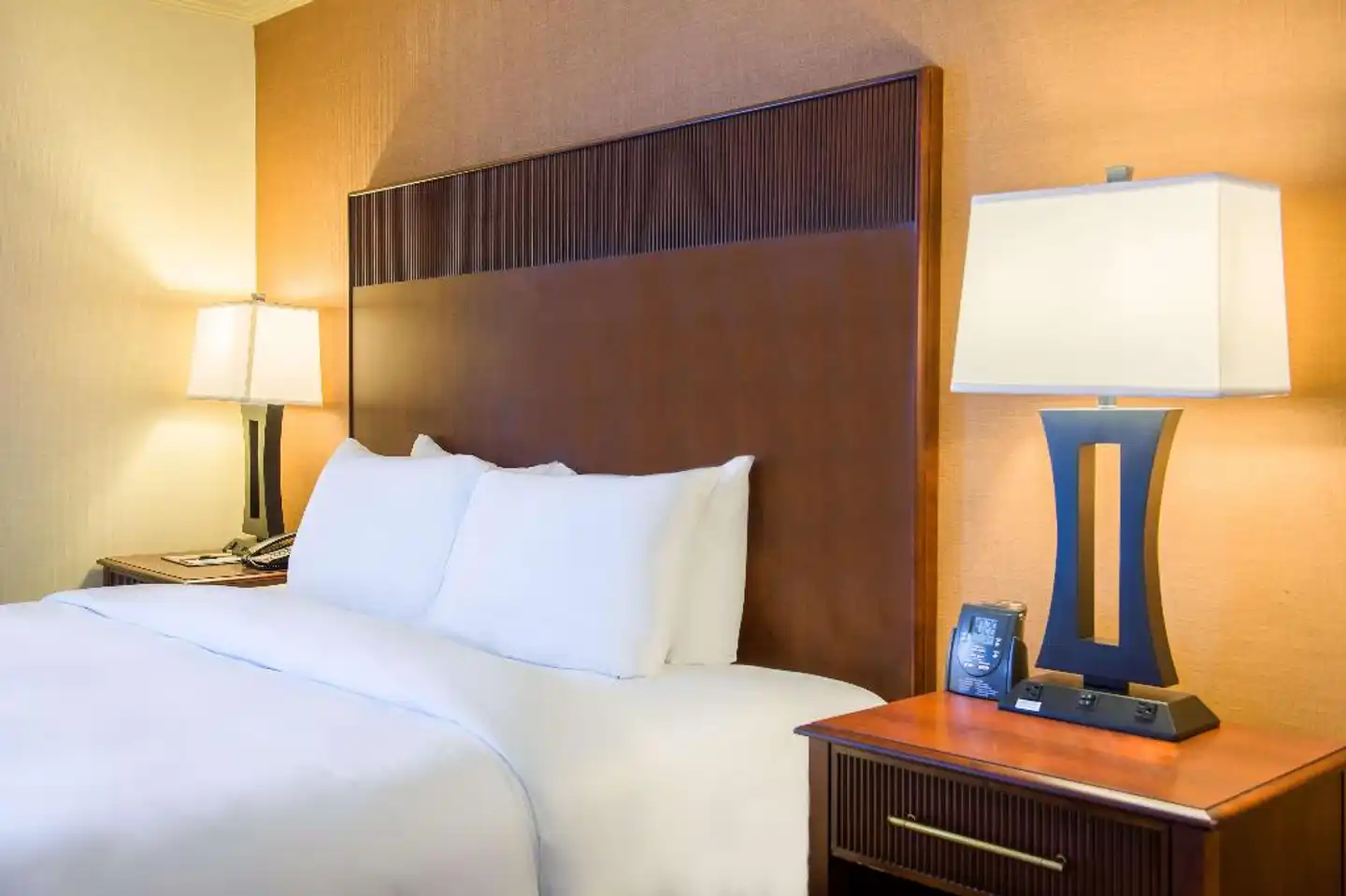 DoubleTree by Hilton Philadelphia Airport Wohnbeispiel