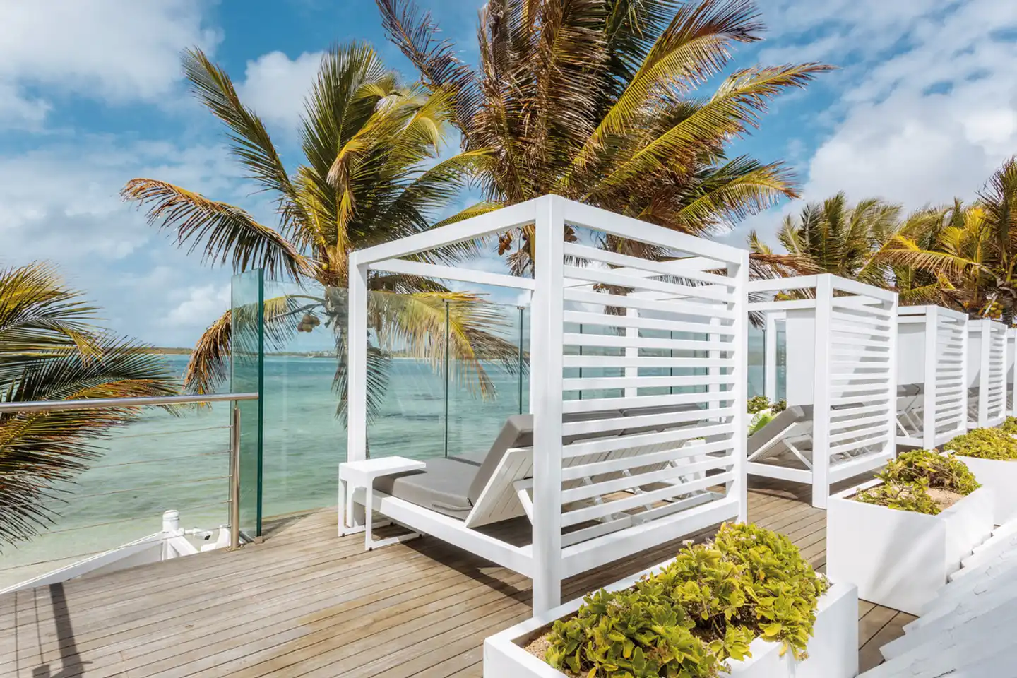 Tropical Attitude Wellness