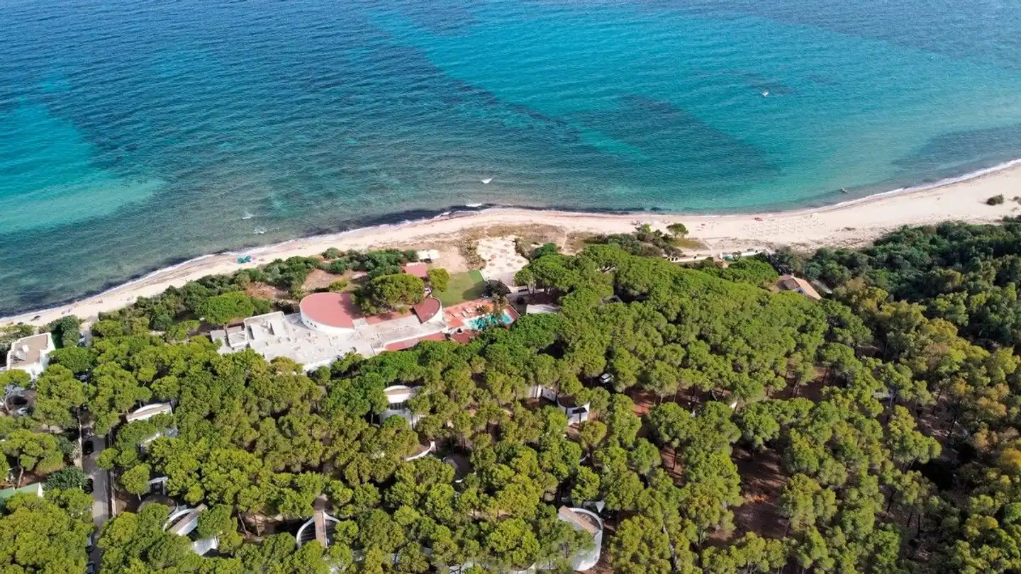 Mare Pineta Landschaft