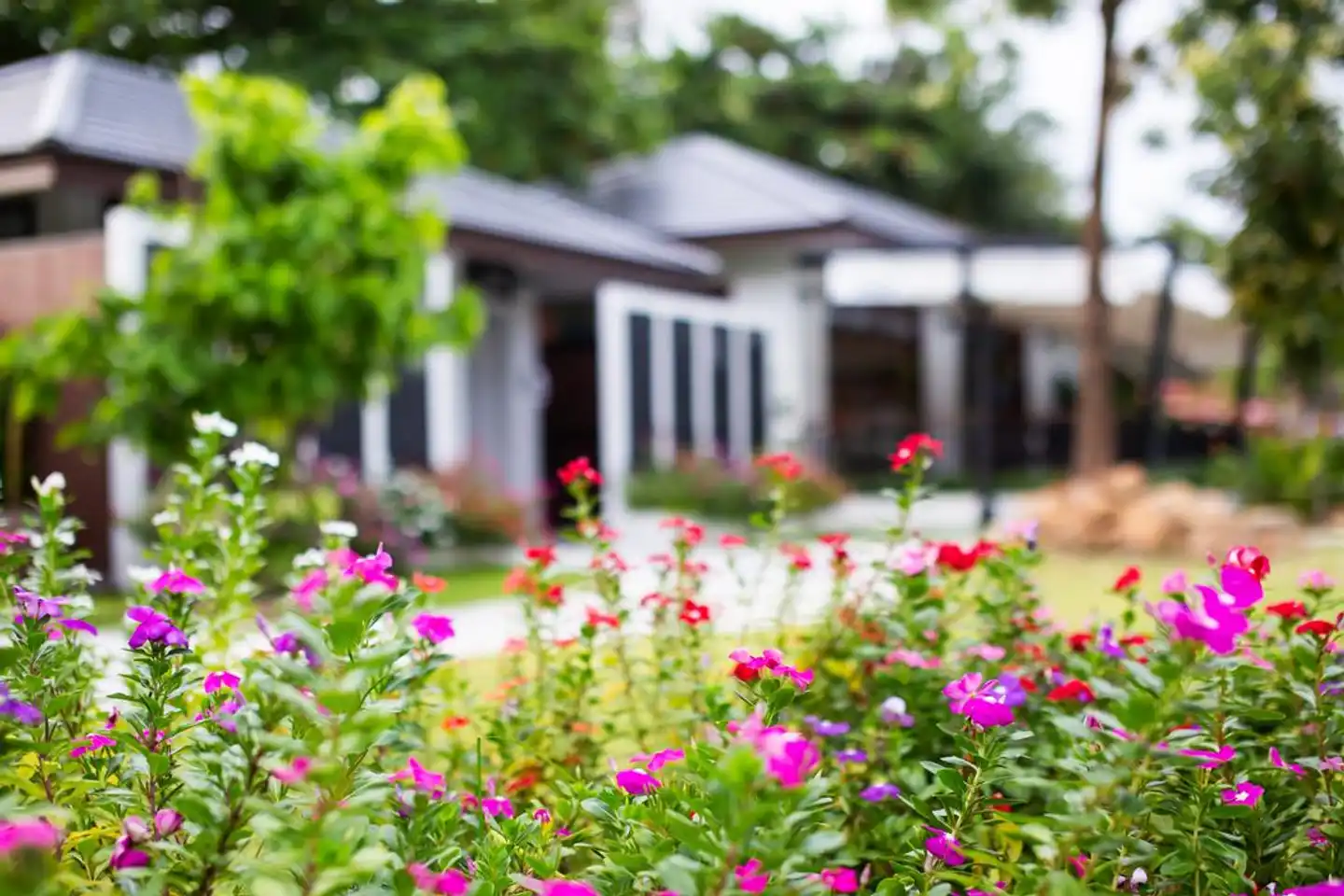 The Canale Samui Resort (SHA Extra Plus) Garten