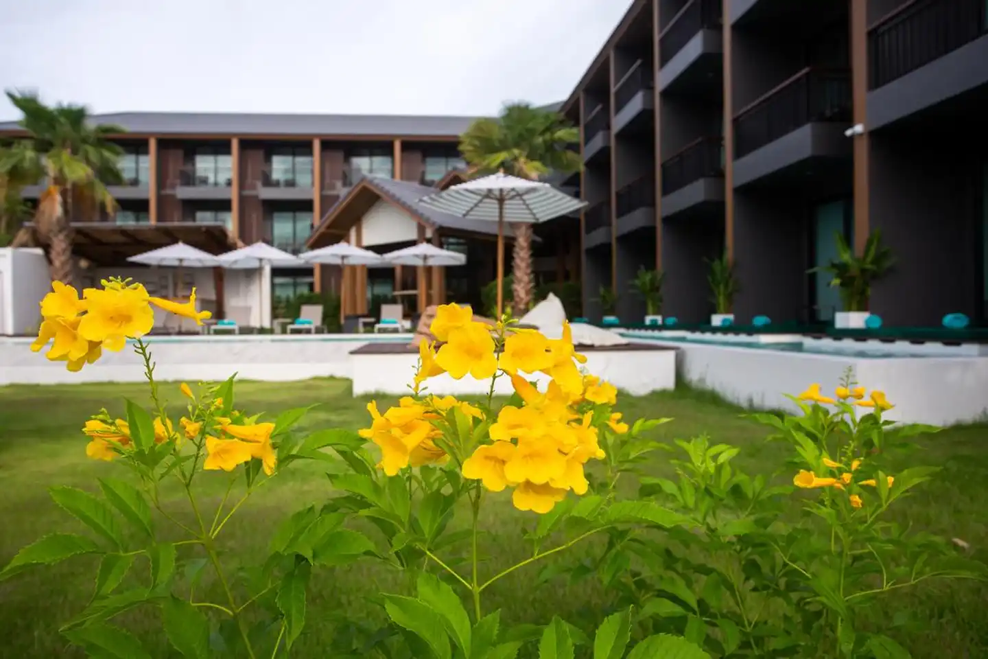 The Canale Samui Resort (SHA Extra Plus) Terrasse