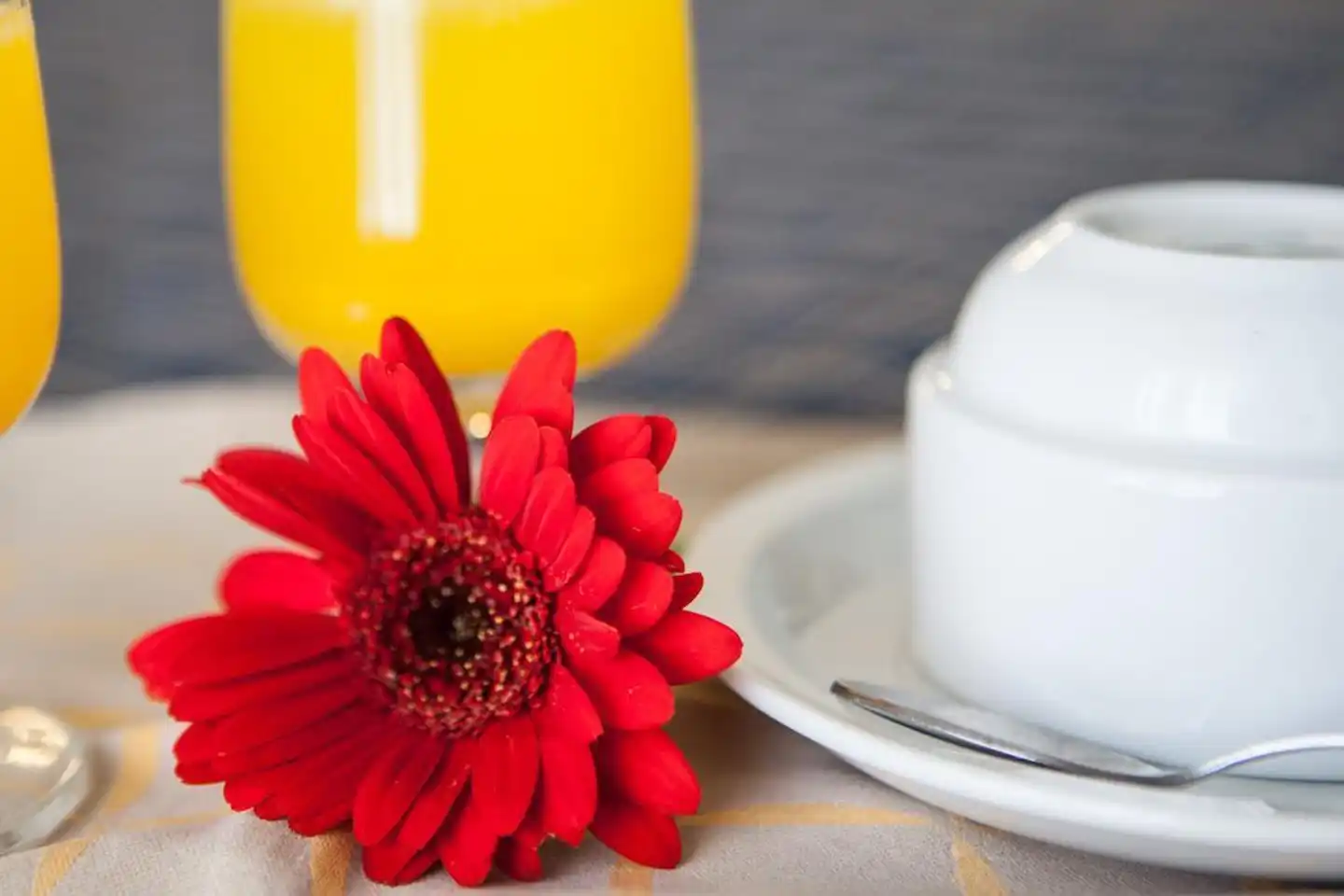 Auto Park Hotel Wellness