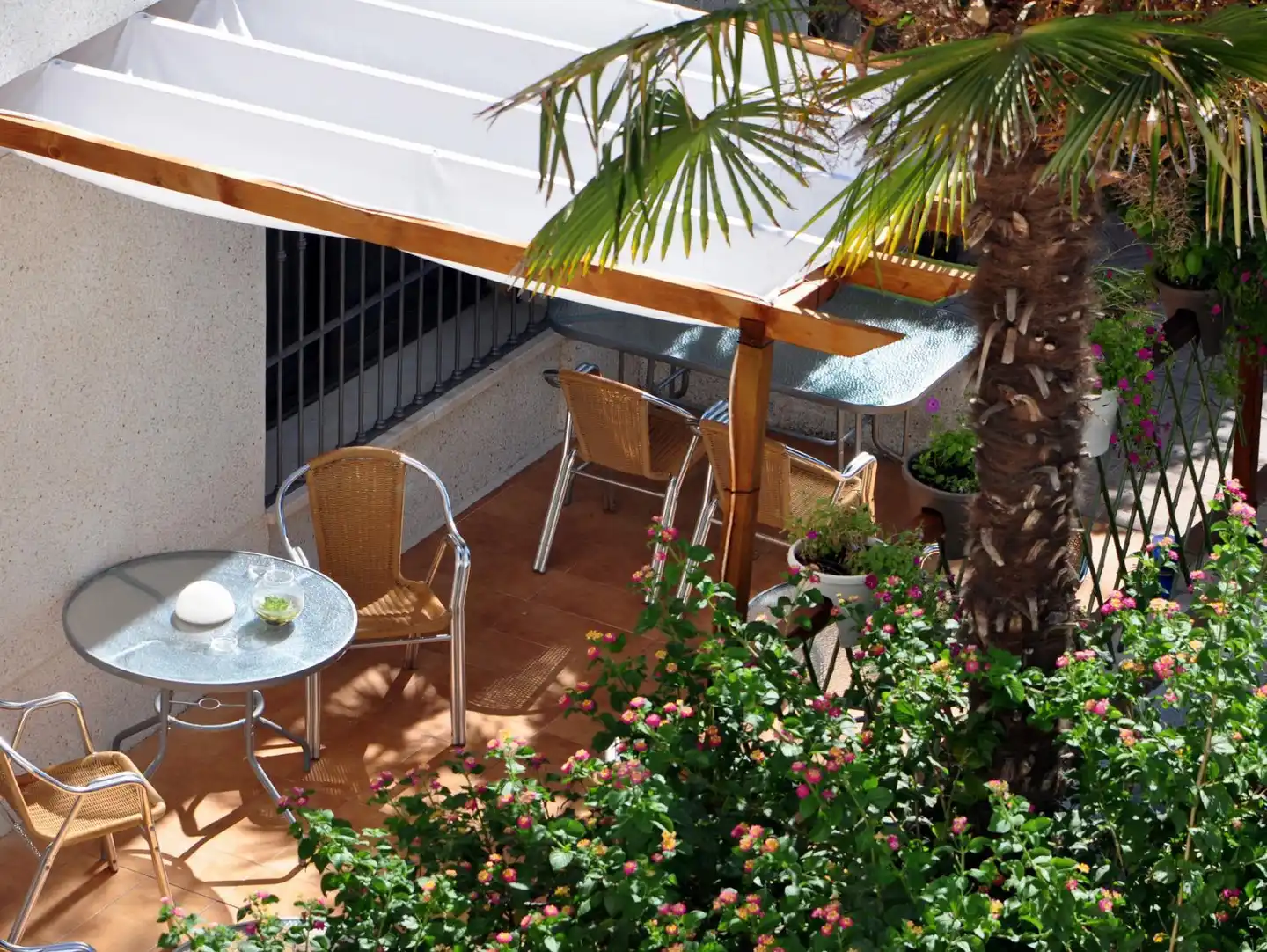 Hotel Oasis de Córdoba Terrasse