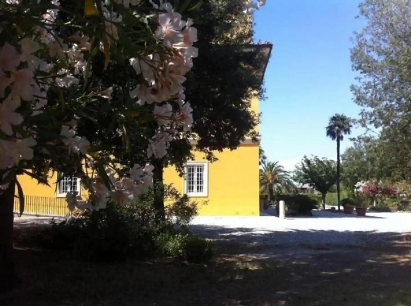 Villa Graziani Garten
