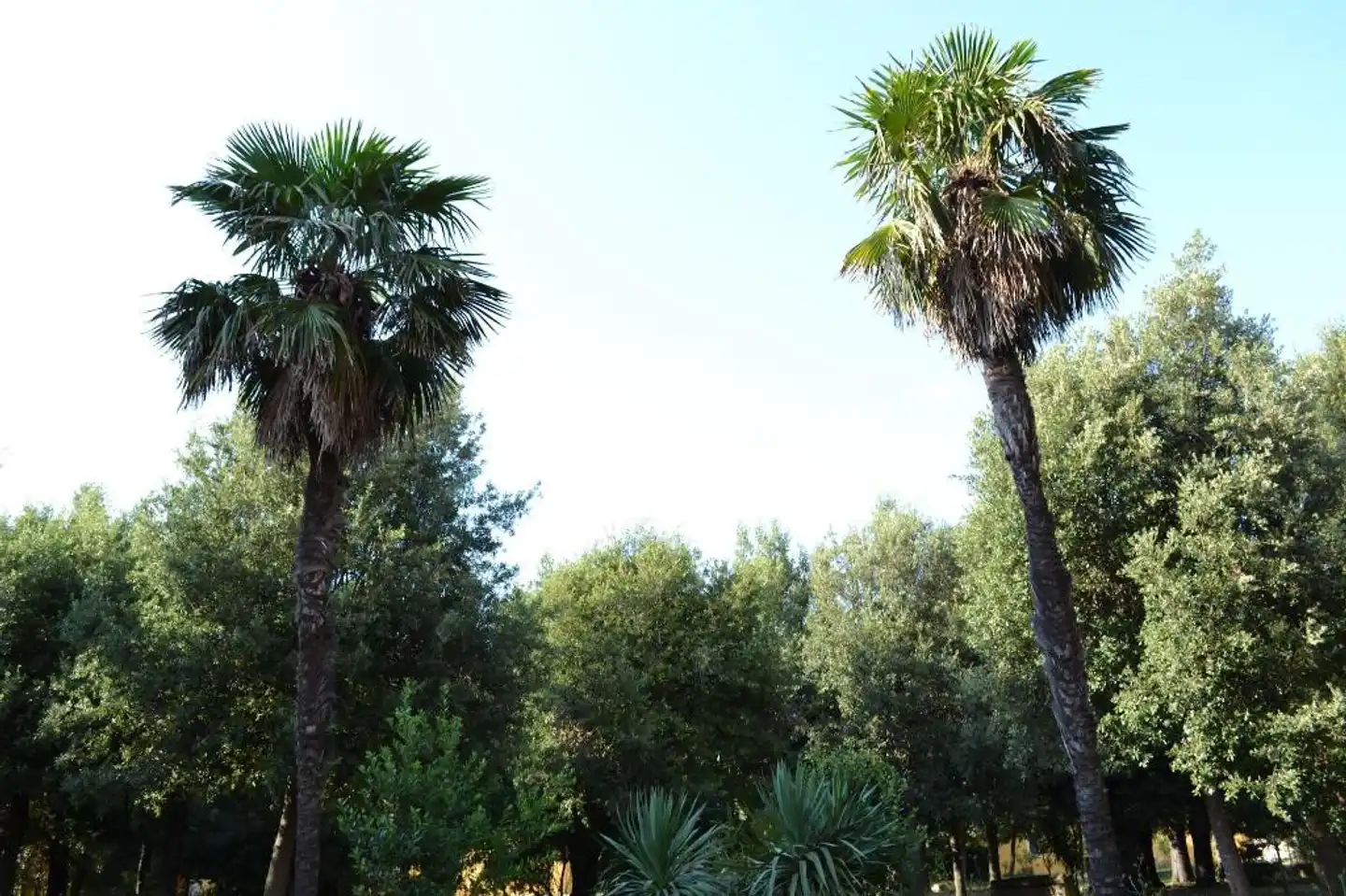 Villa Graziani Garten