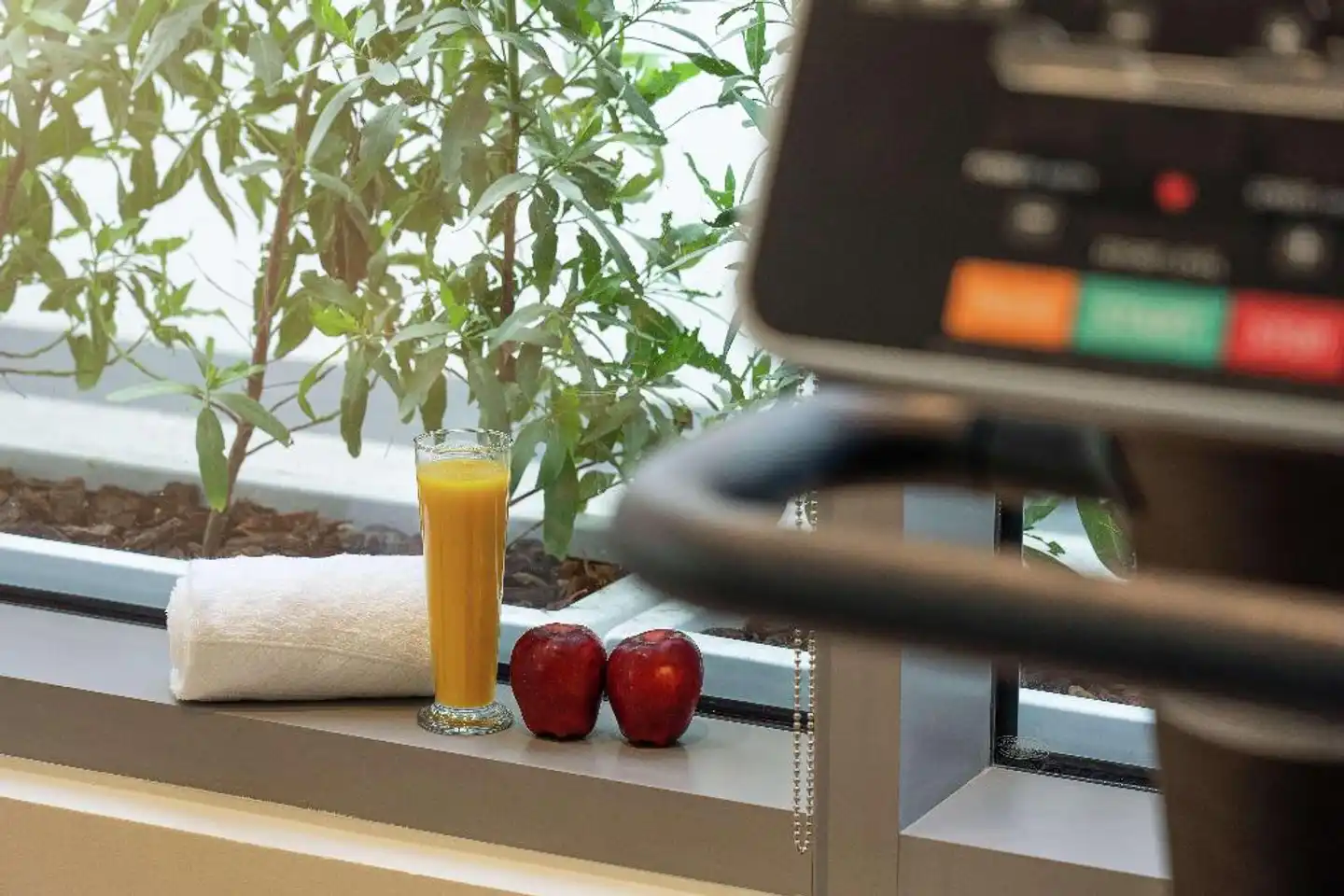 Hampton by Hilton Dubai Al Barsha Sport und Entertainment