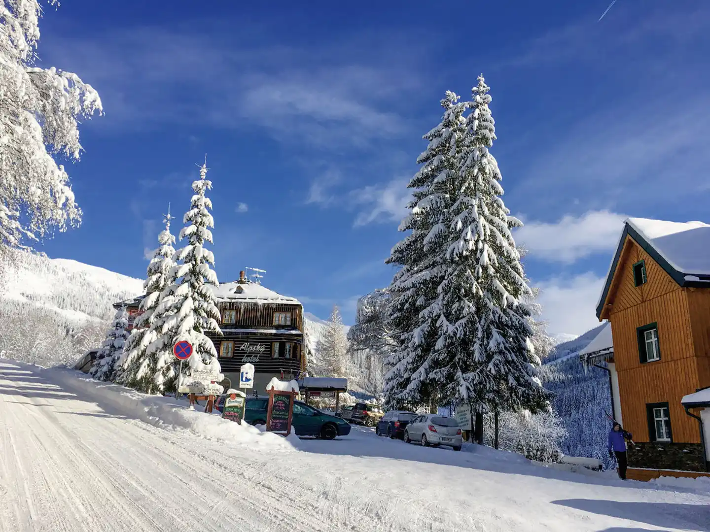 Alpsky Hotel Landschaft