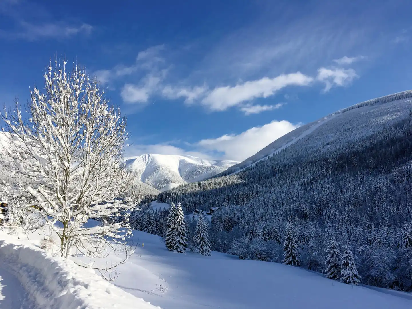 Alpsky Hotel Landschaft
