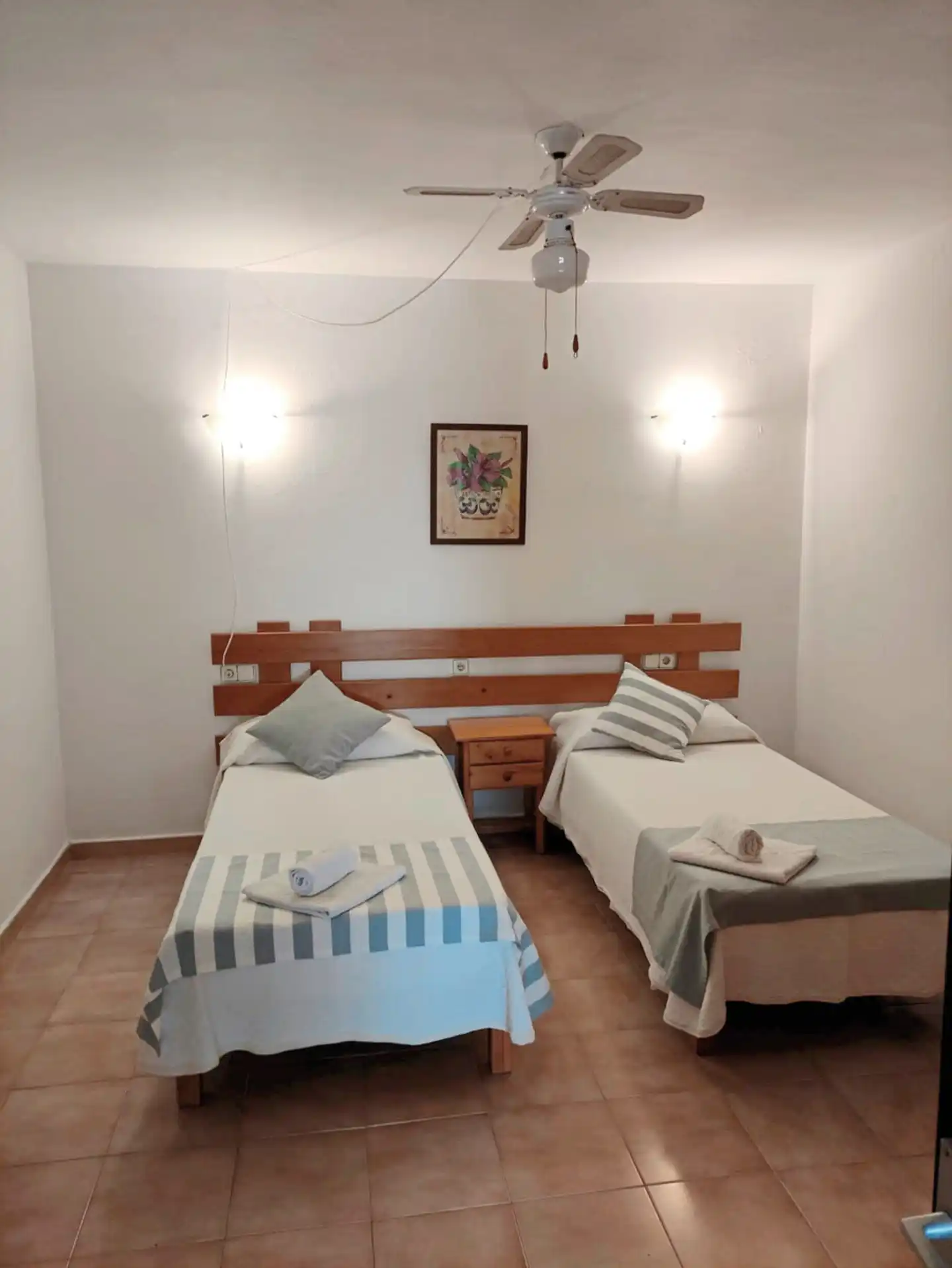 Allida Wellness