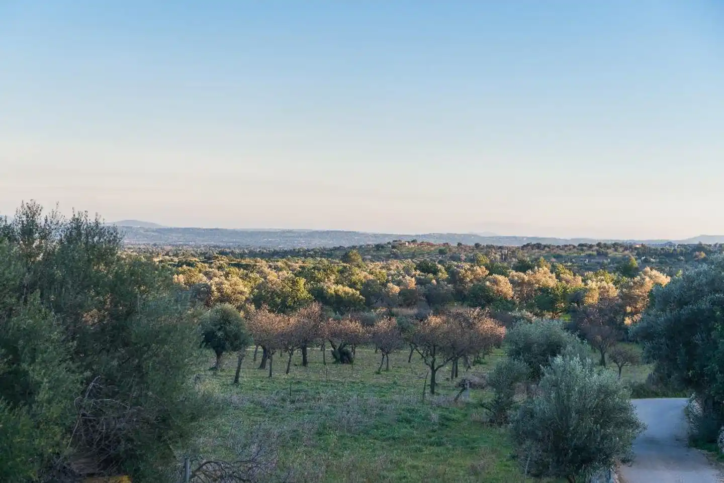 Rural New Can Furios Landschaft