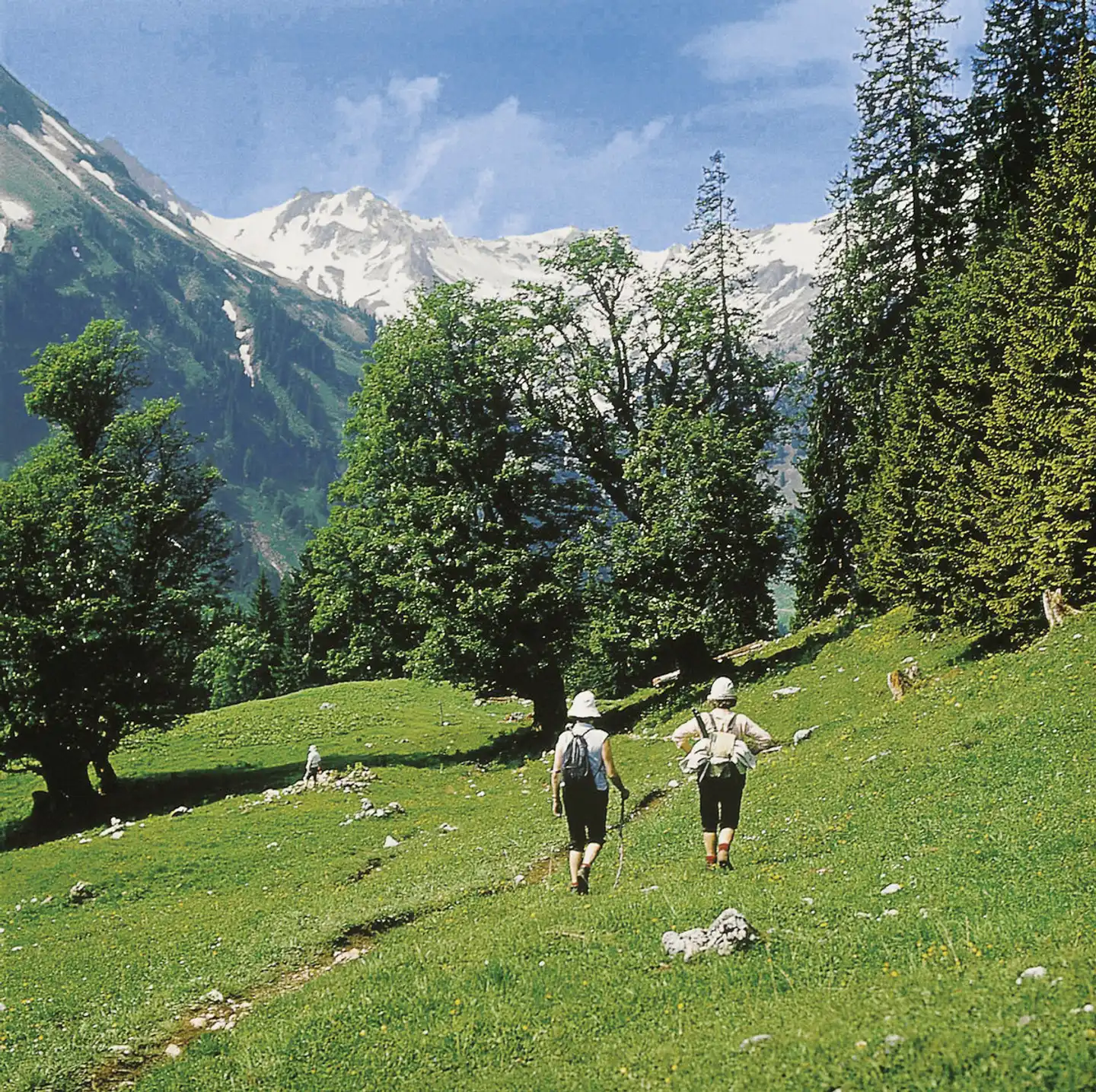 Bellevue Landschaft