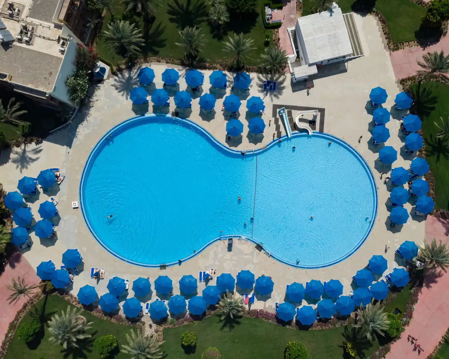 Desert Rose Resort Pool