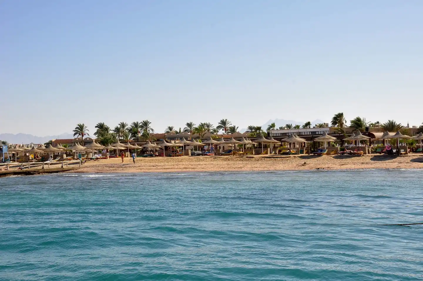 Aladdin Beach Resort Tiere