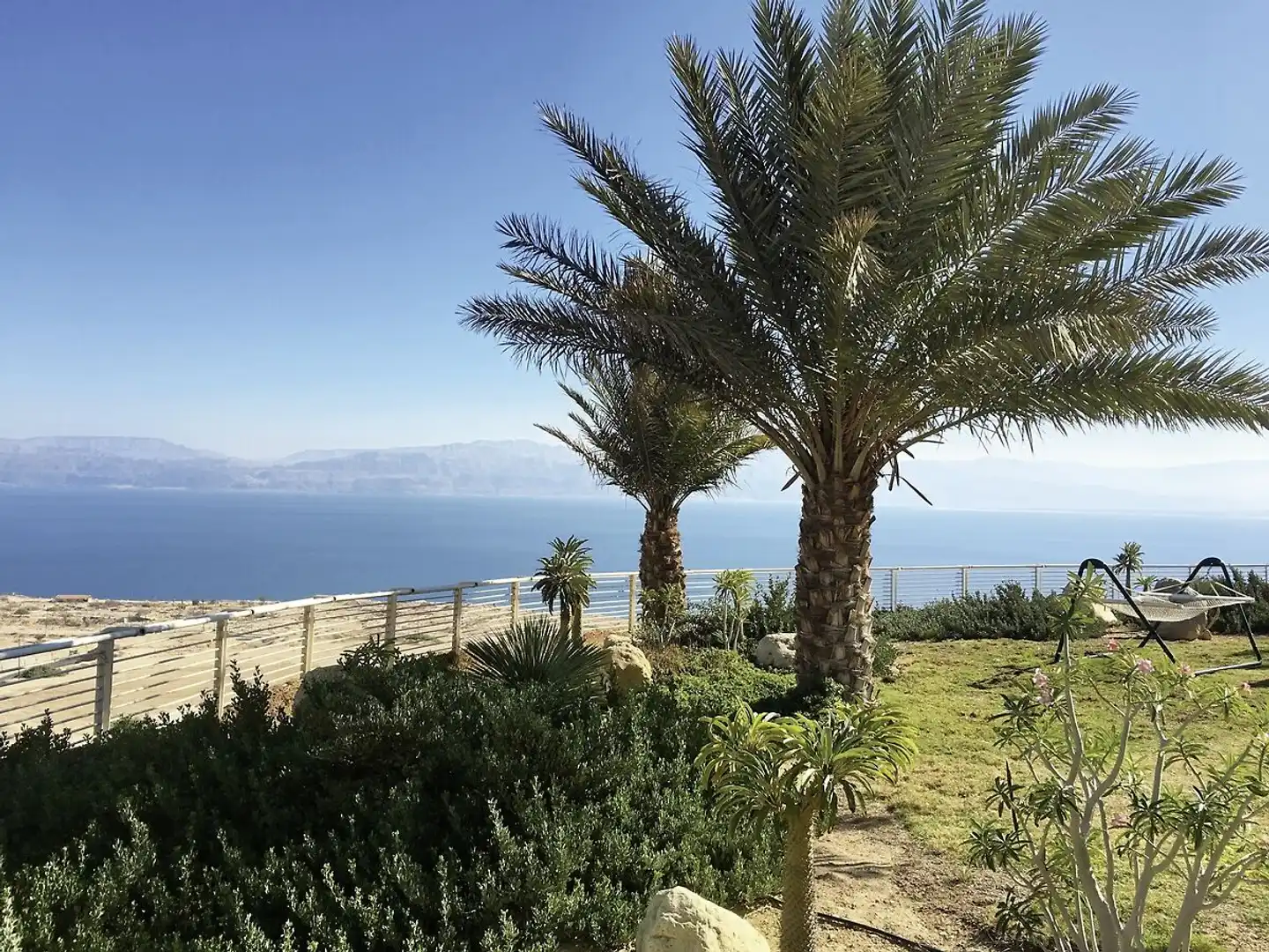 Ein Gedi Resort Dead Sea Garten