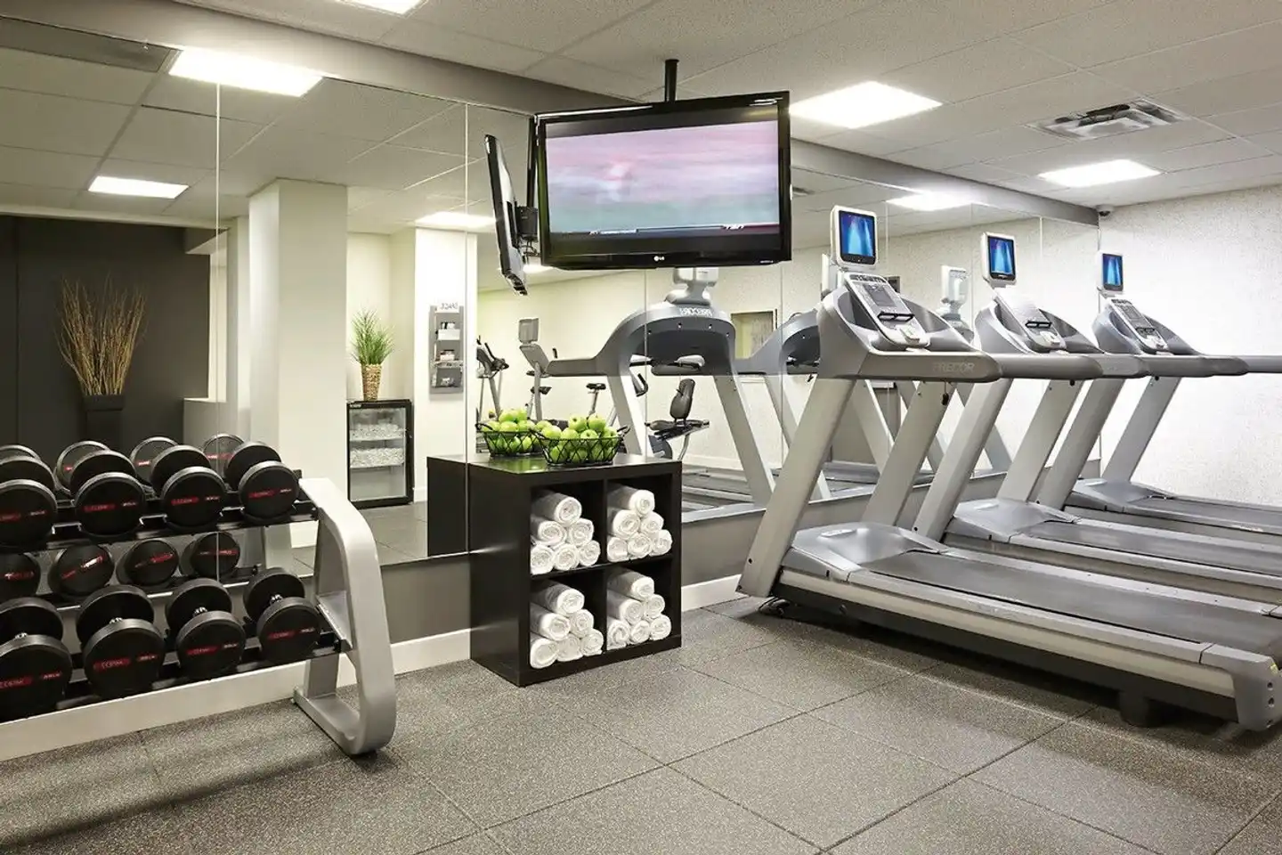 Delta Hotels by Marriott Ottawa City Centre Sport und Entertainment